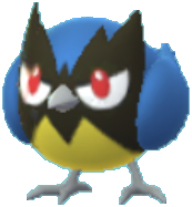 ココガラ